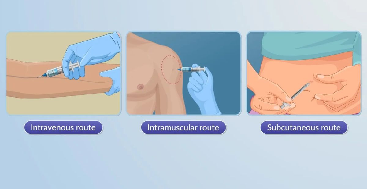 intramuscular vs subcutaneous vs intravenous injection
